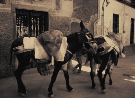 Granada (E)